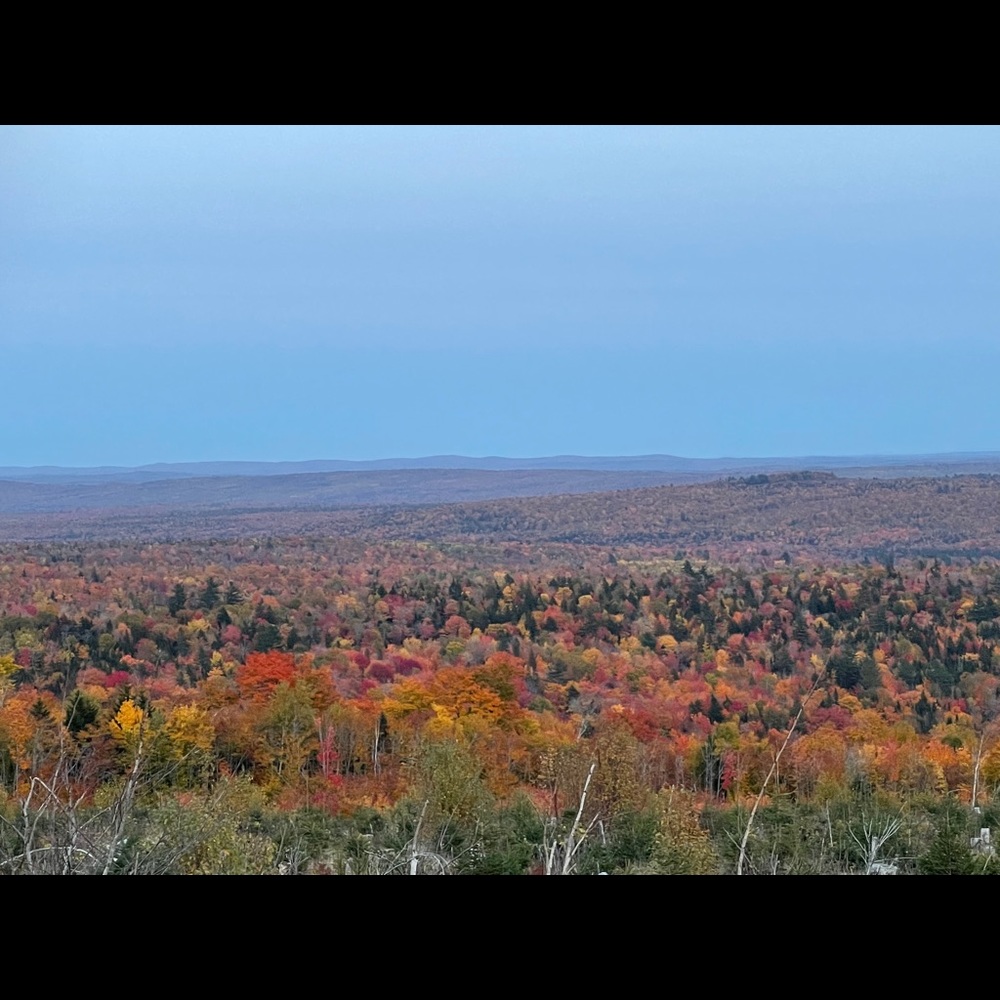 Meet your Posher, Alla